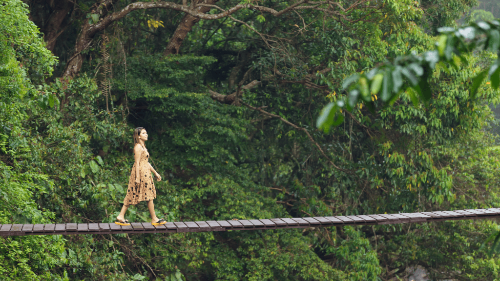 psychotherapie echirolles