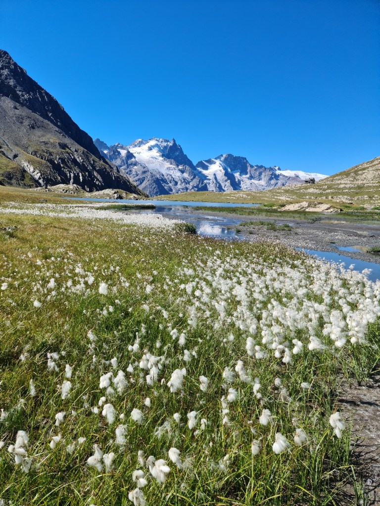 psychotherapie echirolles